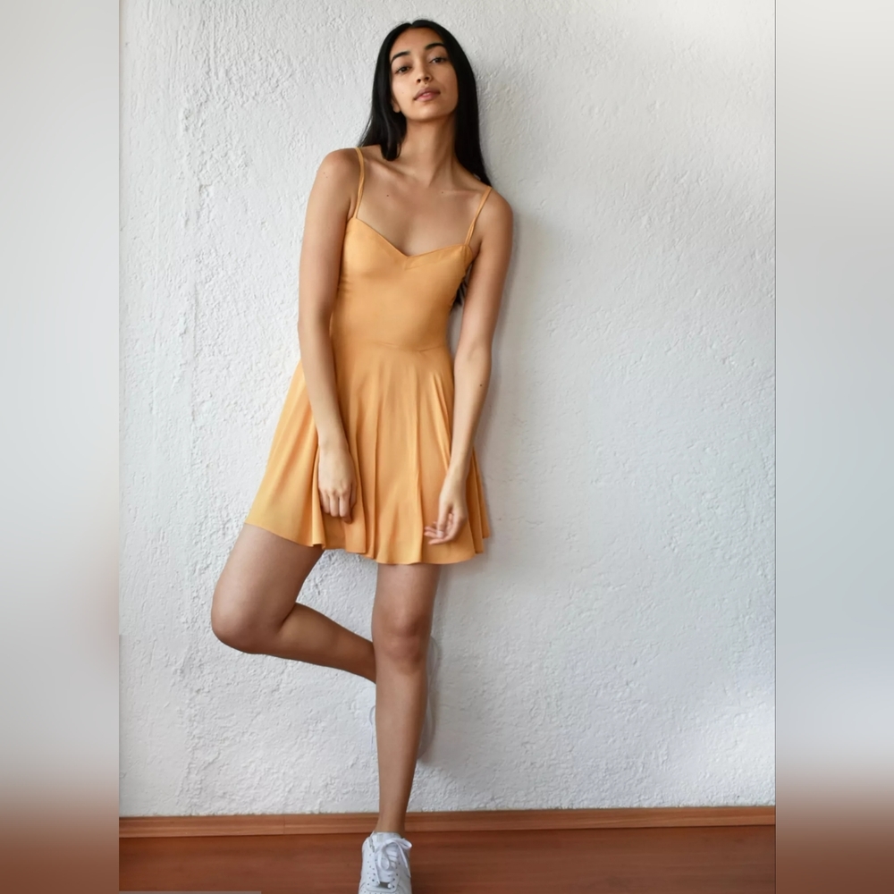 Aritzia Talula Lipinski Skater Dress